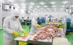 Thông báo đơn hàng 20 nữ chế biến thịt gà tại Miyazaki, Nhật Bản