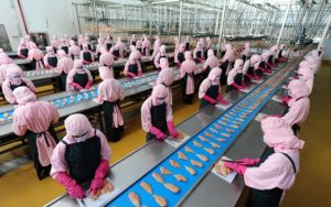 Đơn hàng tuyển 12 nữ chế biến thủy sản gia nhiệt làm việc tại Miyagi, Nhật Bản