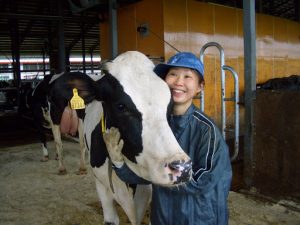 Tuyển gấp 08 Nữ đơn hàng sữa bò lương cực cao làm việc tại Hokkaido, Nhật Bản
