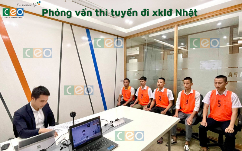 Phỏng vấn đơn hàng đi xklđ Nhật 