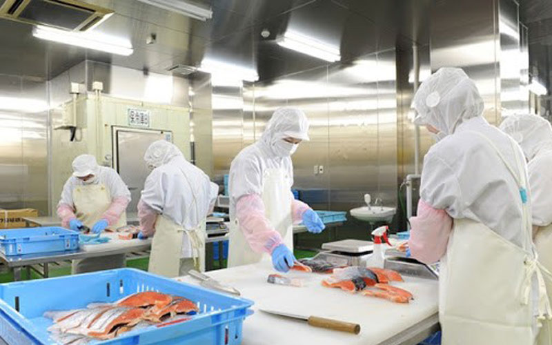 Đơn hàng chế biến thủy hải sản tại Mie lương cao 35 tuổi vẫn có thể tham gia