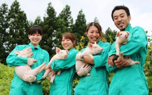 Đơn hàng tuyển 06 nữ chăn nuôi heo tại Miyazaki Nhật Bản
