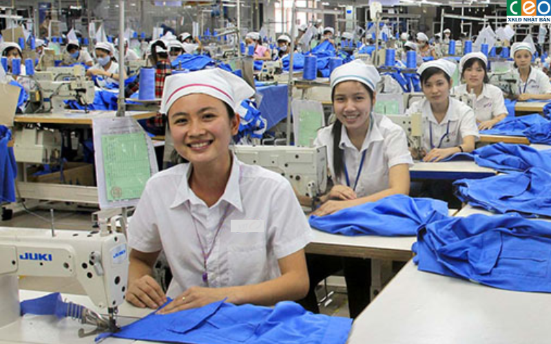 Đơn Hàng Tuyển 3 Nữ May Quần Áo Lấy Đến 35 Tuổi Tại Yamaguchi Nhật Bản