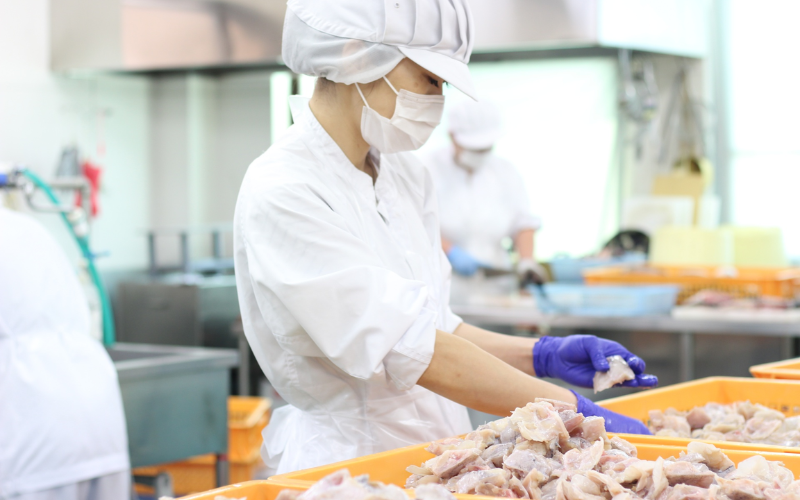 Đơn Hàng Tuyển 06 Nhân Viên Chế Biến Thuỷ Sản, Công Ty Có Nhiều Việc Làm Thêm, Thu Nhập Đều Đặn 30 Triệu/Tháng Tại Mie Nhật Bản