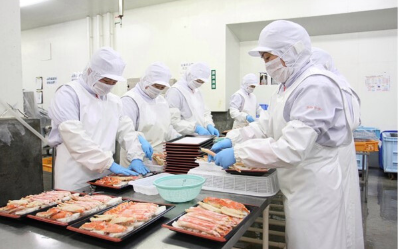 Đơn Hàng Tuyển 30 Nhân Viên Đóng Gói Sản Xuất Chả Cá Chả Cua, Đồ Ăn Sẵn, Công Ty Lớn Nhiều Việc Làm Thêm, Thu Nhập 25 Triệu/Tháng Tại Shimane, Tottori Nhật Bản
