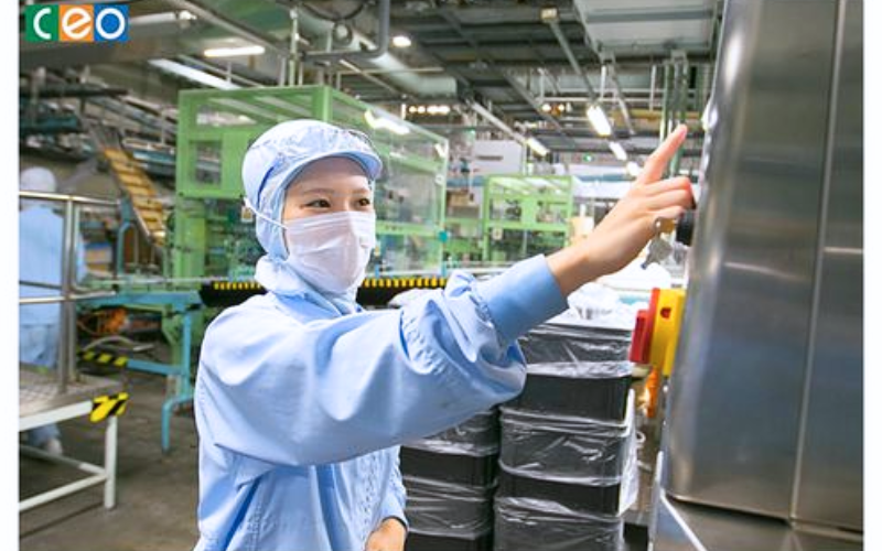 Đơn Hàng Tuyển 06 Nữ Gia Công Kiểm Tra Cao Su, Thu Nhập Đều Đặn 27 Triệu/Tháng Tại Mie Nhật Bản