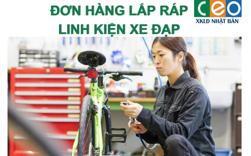 Đơn Hàng LẮP RÁP LINH KIỆN XE ĐẠP Làm Việc Tại Yamaguchi Nhật Bản