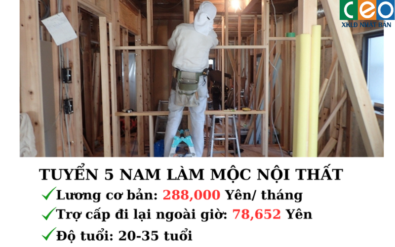 Đơn Hàng Đặc Định XÂY DỰNG TRONG NHÀ – MỘC NỘI THẤT Làm việc tại Saitama, Kanagawa, Tokyo Nhật Bản
