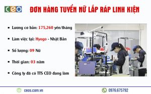 TUYỂN 09 NỮ LẮP RÁP LINH KIỆN TẠI HYOGO – NHẬT BẢN