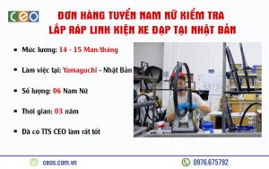 TUYỂN 06 NAM NỮ LẮP RÁP ĐÓNG GÓI LINH KIỆN XE ĐẠP TẠI NHẬT BẢN