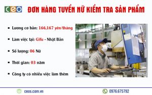 TUYỂN 06 NỮ KIỂM TRA SẢN PHẨM TẠI GIFU – NHẬT BẢN