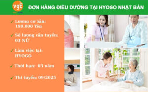 Tuyển 03 Nữ điều dưỡng hộ lý làm việc tại Hyogo Nhật Bản lương cao chế độ tốt